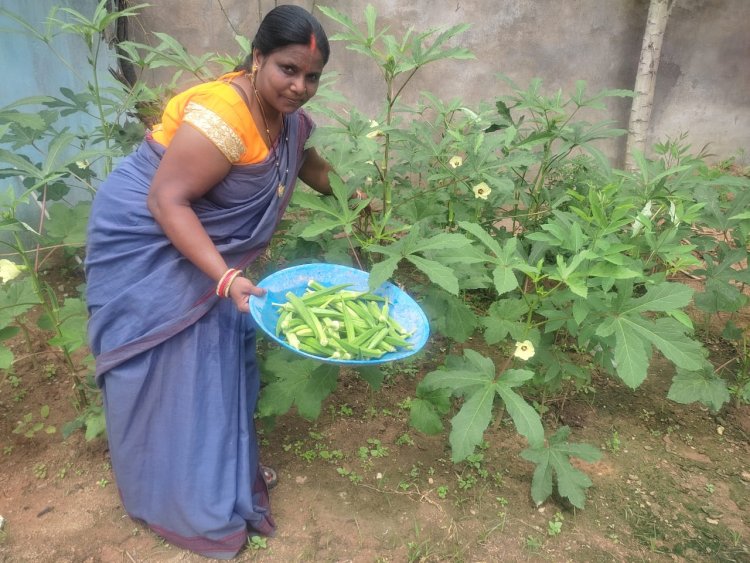 पोषण वाटिका से सुधरी बच्चों की सेहत